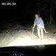 12 Times Dashcams Caught Terrifying Encounters