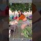 Heartwarming Animal Rescue That Will Restore Your Faith in Humanity part 28
