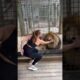 Heartwarming Animal Rescue That Will Restore Your Faith in Humanity part 44
