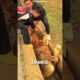 10 Unbelievable Animal Rescues That Will Restore Your Faith in Humanity ❤️