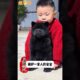 The love for these cute puppies grows day by day #dog #pet #cutedog #puppy #puppylove #cuteanimal