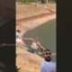 Heartwarming Animal Rescue That Will Restore Your Faith in Humanity #rescueme  #viral #viralvideo