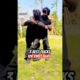 3 best STREET FIGHT Self Defense 🔥 #survival  #selfdefense #kravmaga #taekwondo  #uk #usa #fighting