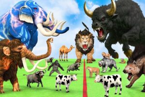 5 Giant Mammoth Elephant Cow Vs Giant Indian Bison Vs 5 Giant Lion Tiger Saved By Woolly Mammoth