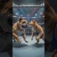 Animal fight best moments in fight #fighting #wwe #usashorts #usa #animals #wwe2k25