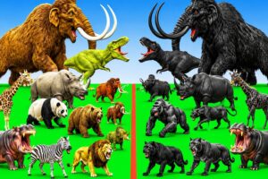 Animals Epic Battle Prehistoric Mammals VS Hydro Itself Size Super Animal Battle Simulator