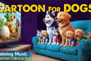 Cartoon for Dogs: Ultimate Dog TV for Dogs to Watch Home Alone🐶 Dog Videos & Relaxing Music for Dogs