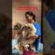 Cute puppies 🧿❤️ 🐶#shithzu #puppy #cutepuppy #petparents