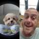 Dog Love.#dog #dogs #dogshorts #puppy #puppies #viral #viralvideo #viralshorts #viralshort #cute
