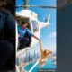 Dog rescues helicopter driver before helicopter crashes 😭 #ai #dog #save #helicopter