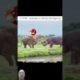 Epic Animal Fight Caught on Camera | Incredible Wildlife Battle | Viral Animal Video