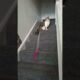 Fluffy Cat Playing Around #cat #catshorts  #shortsvideo #cat #shortsviral #shorts #shortsfeed