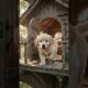 Golden Retriever Puppy's Secret Treehouse Home 🐶 #puppyrescue #heartwarming #rescue