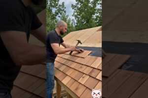 He Saved Stray Cats and Built Them a Safe Shelter ❤️🐈 | Amazing Cat Rescue #shorts