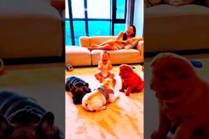 #Healed by cute babies and dogs #Funnyand adorable pets #Cute puppies #Dogs #shorts #viral #AI #fyp