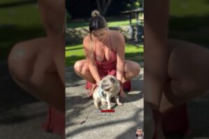 Heartwarming Animal Rescue Stories That Will Touch Your Heart