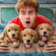 I Found 10 Lost Puppies At School!