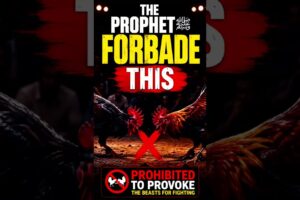 ⚠️ If You Support Animal Fights, Watch This First!#shorts #islam #animalrights #allah #viral #feed