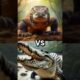 Komodo dragon vs Crocodile⚔️🛡️WILD ANIMAL BATTLE!