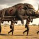 Life 3.2 Million Years Ago | The Giant Saber-Tusked Boar Encounters Homo Habilis