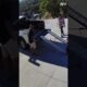 Most Insane Security Camera Fails of The Month 📹 #afv #fail #funny