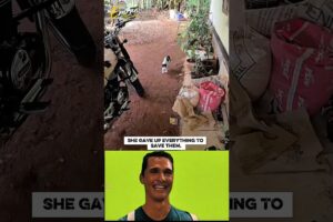 Mother cat sacrifices everything for her kitten... 💔#shorts #animals #sad #cat