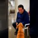 NESSE canil OS cachorros ESCOLHEM seu DONO
