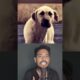 On His Way Home, a Man Found a Stray Mother Dog and Her Puppy on a Lonely Road 🐶🥺❤️ #dog #animals