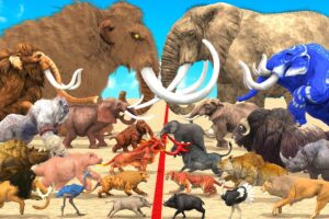 Prehistoric Mammals Vs Wild Animals Size Comparison Animal Epic Battle Animal Revolt Battle Simulato