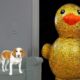 Puppy Surprised with Giant Golden Rubber Duck! Cute Puppy Dog Indie Gets Epic Rubber Ducky Surprise