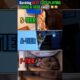 Ranking BEST CATS PLAYING HIDE & SEEK core!! 🐱🙈