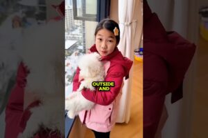 “The Cat Got Lost in the Snow… 😱”