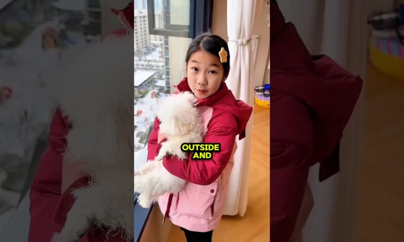 “The Cat Got Lost in the Snow… 😱”