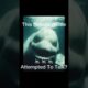 The Whale That Sounds Like a Human Voice 😱 #shorts #fyp #animals