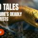 WILD TALES - EPISODE 5: NATURE’S DEADLY ALCHEMISTS (Toxic Survival Secrets)