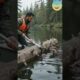 Wild Mother Otter Jumps Onto Rescue Boat to Save Her Trapped Baby 🦦❤️ | Emotional Animal Rescue