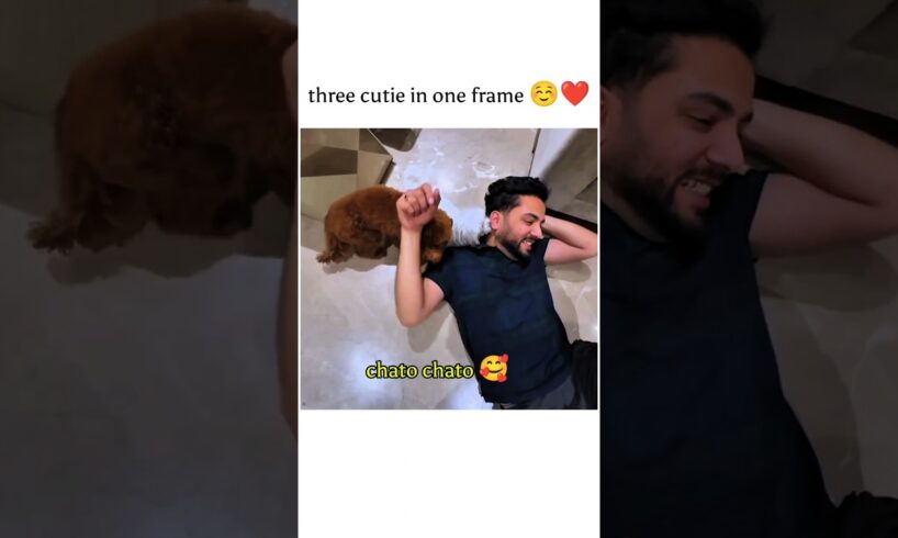 elvisbhai with his cutest puppies 🥰❤️ #shorts #ytshorts #elvishyadavvlogs #elvishyadavsystumm