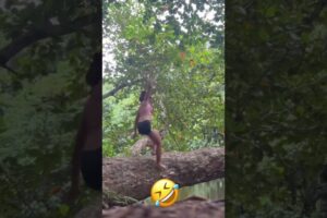 funny fails of the week #funny #hilariousfails