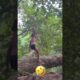 funny fails of the week #funny #hilariousfails