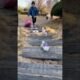 😻"my sister saw the cute puppies, she became very happy and"😻#shortvideo#trending#puppy#short#