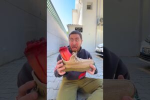 🐱🚪 ¡Alex salvó al gatito justo antes de que la puerta se cerrara! 😱❤️