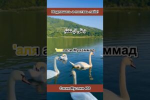 ТЫ ЗНАЛ ОБ ЭТОМ ДУА ДЛЯ КАЖДОГО МУСУЛЬМАНИНА? 🤲 Сахих Муслим 408 #дуа #ислам #shorts