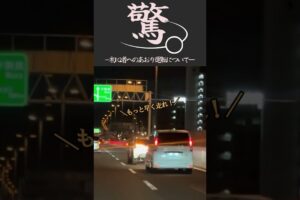 恐怖。初心者マークをガン詰め！ドラレコが捉えた器の小さすぎるミニバンの奇行 #shorts