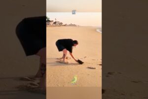 10 MOST INSPIRING ANIMAL RESCUES BY ORDINARY PEOPLE💝 #animals #rescue #love #kindness #shortsfeed