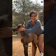 Heartwarming Animal Rescue That Will Restore Your Faith in Humanity part 55