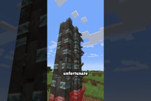 A 1/1,000,000 Minecraft Death..