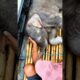 Baby Elephant Rescued From River and Reunited With Mom❤️