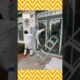 Best Fails of the Week #funnyfails #funnyvideo #funnycompilation #funny #funnyshorts