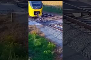 CYCLIST HAS NEAR DEATH EXPERIENCE!