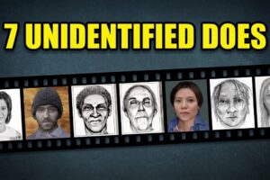 Compilation of 7 Unidentified Individuals